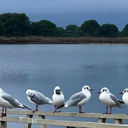 Votre pied à terre entre mer et montagne * Le Barcarès